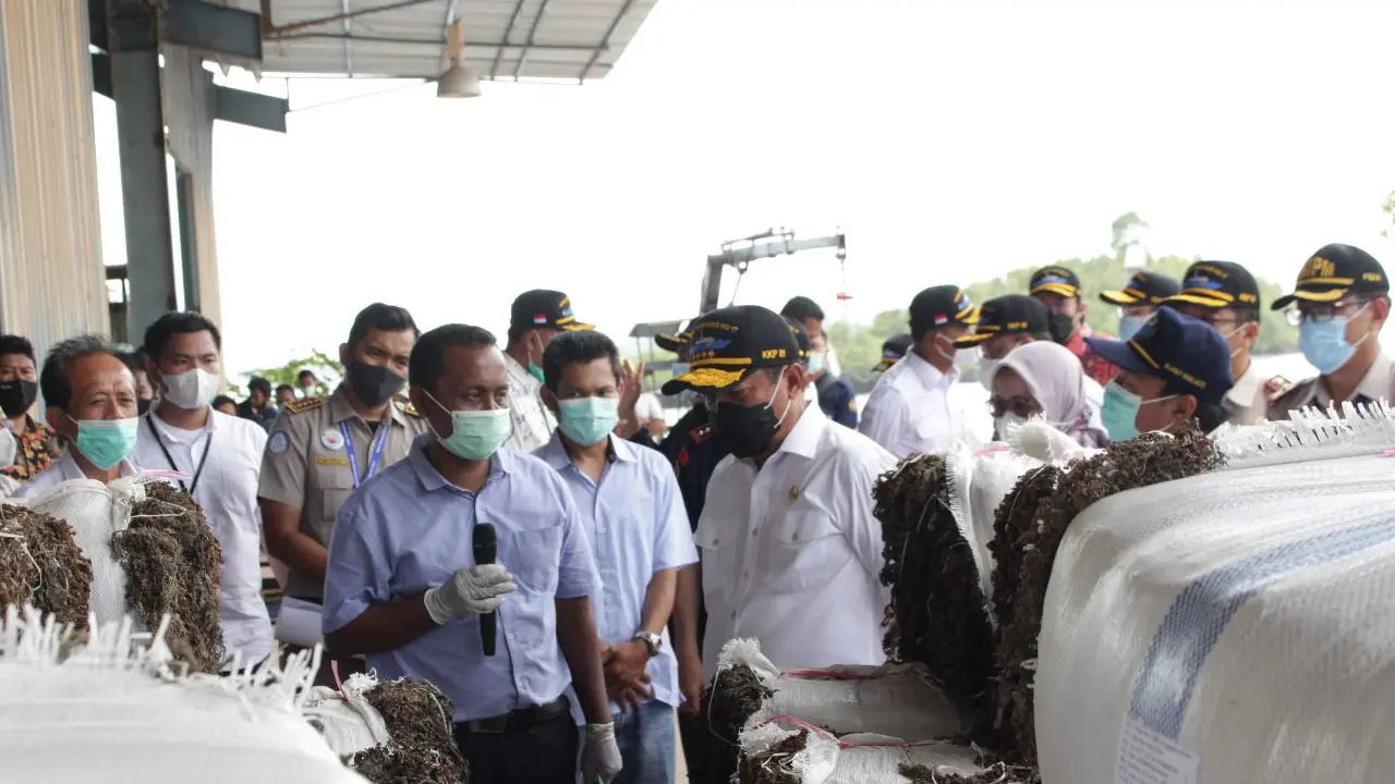 Menteri Kelautan dan Perikanan, Sakti Wahyu Trenggono melepas ekspor 79,5 ton rumput laut kering asal Batam.