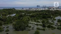 Foto areal kawasan Hutan Magrove, Jakarta, Sabtu (31/10/2020). Kawasan hutan mangrove seluas 45 hektar adalah salah satu kawasan yang tersisa di Jakarta menjadi salah satu tempat perlindungan dan konservasi. (merdeka.com/Imam Buhori)