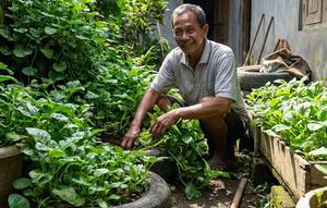 Bayam brazil merupakan tanaman sayur berumur panjang yang mudah dirawat di lahan sempit (Gemini AI)