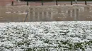 Es sebesar bola golf berserakan di luar Gedung Parlemen setelah badai menghantam Canberra, Senin (20/1/2020). Badai petir dan hujan es menerjang bagian wilayah pantai timur Australia setelah sebelumnya badai debu melanda daerah-daerah yang dilanda kekeringan. (AP/Rod McGuirk)
