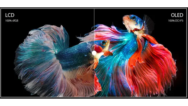Layar Berteknologi ASUS OLED
