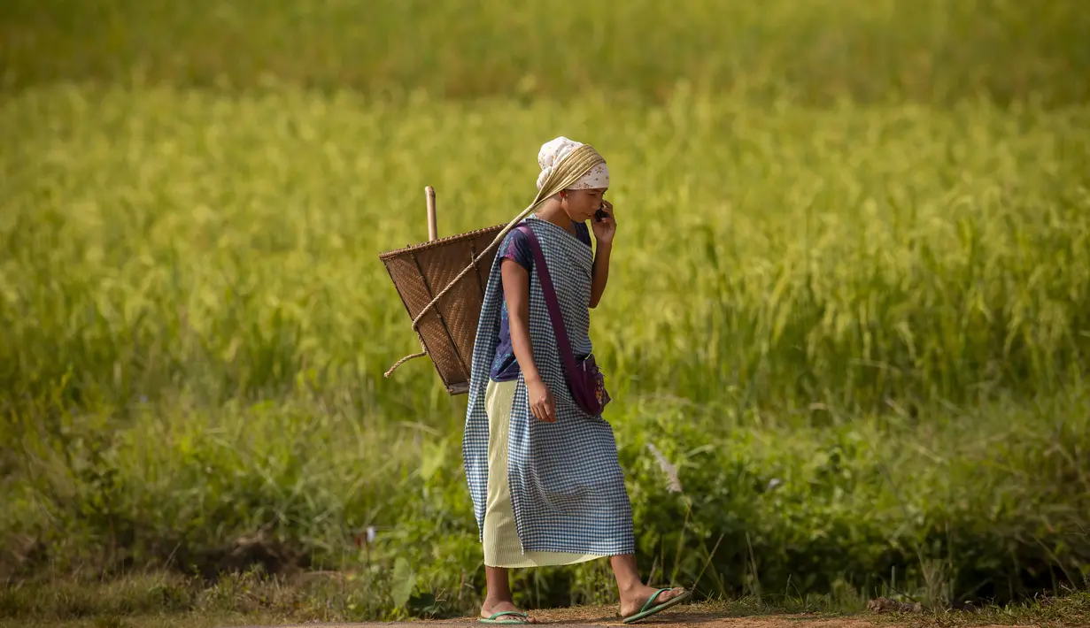 Seorang wanita etnis Khasi membawa keranjang bambu tradisional di punggungnya berbicara di ponselnya saat kembali ke rumah setelah bekerja di sawah di desa Umwang, di sepanjang perbatasan negara bagian Assam-Meghalaya, India, Rabu (27/10/2021). (AP Photo/Anupam Nath)
