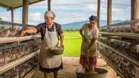 Usaha Ternak Bersama untuk Ibu Rumah Tangga di Desa, Peluang Ini Jarang Disadari