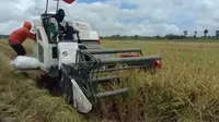Petani Banyuwangi Diminta Ikut Program Asuransi, Ini Alasannya