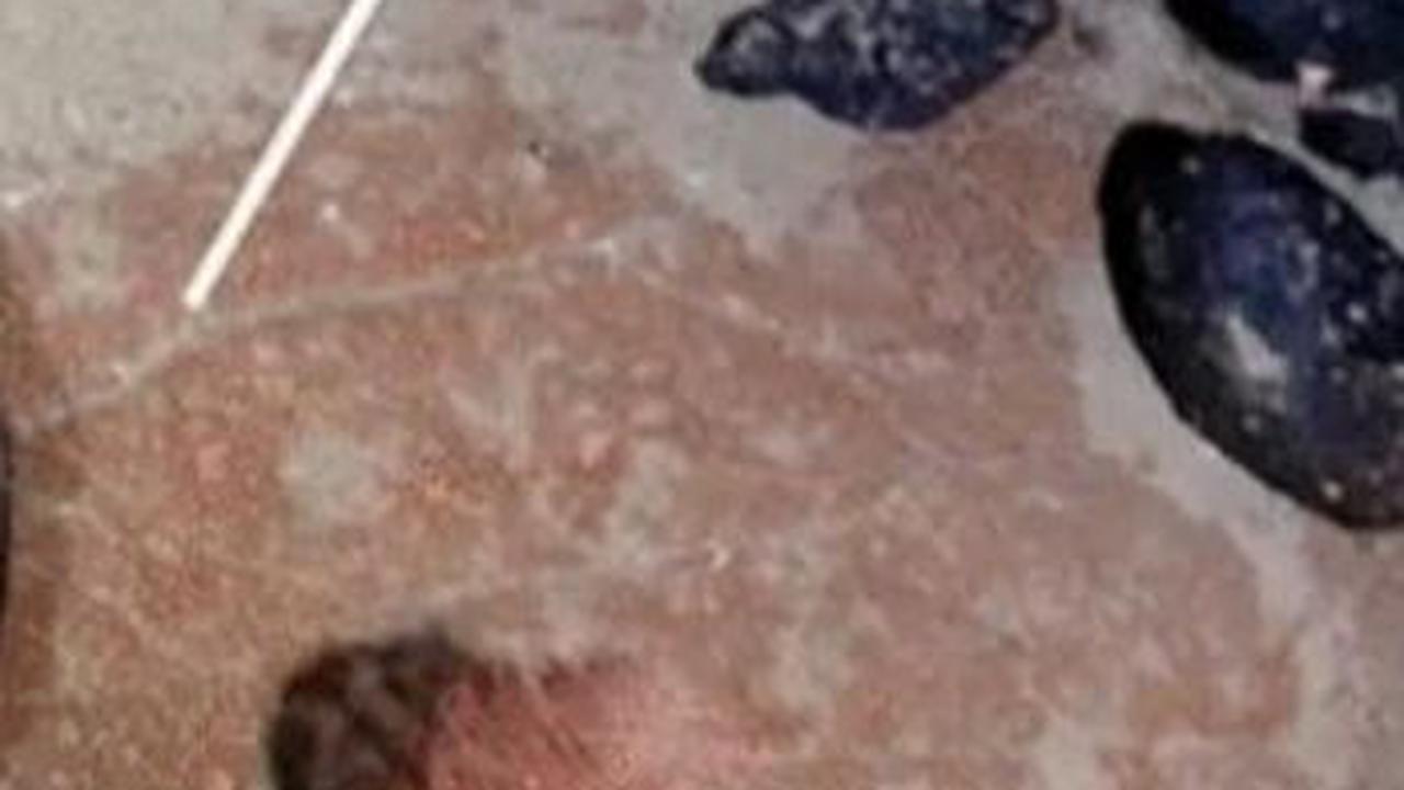 Ilmuwan Temukan Pulau Seluas Islandia di Bawah Laut, Tenggelam 45 Juta Tahun Lalu