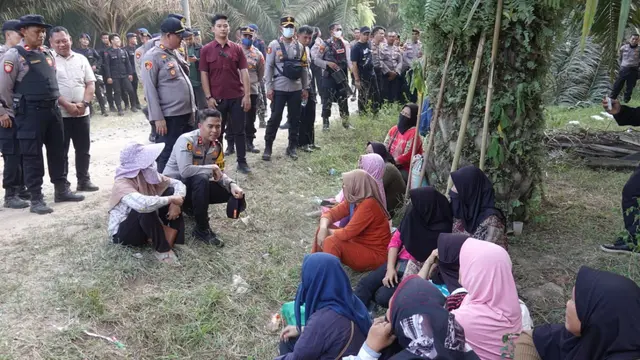 Kondisi area perusahaan sawit PT Bumi Sentosa Abadi usai insiden pembakaran