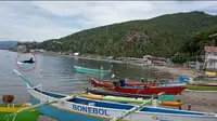 Paus Orca berkeliaran di perairan Desa Botubarani, Kabupaten Bone Bolango, Gorontalo. (Arfandi Ibrahim/Liputan6.com)