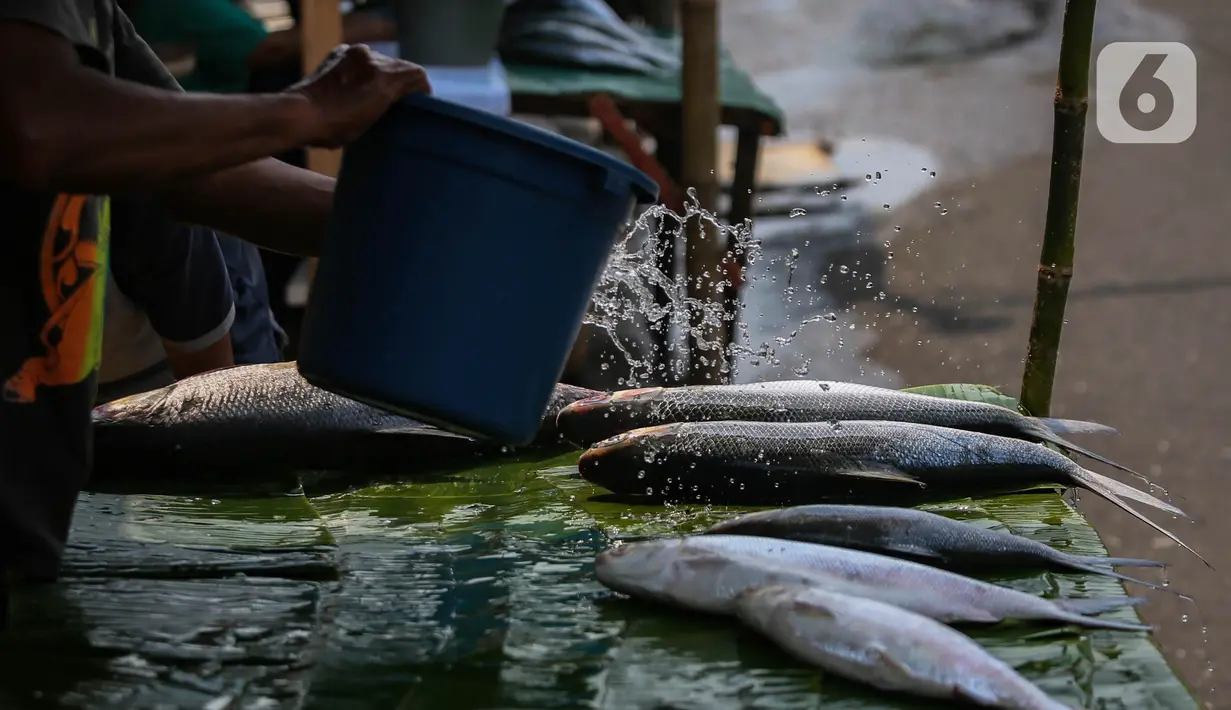 Ikan selalu dimakan dengan harapan dapat memberikan rezeki yang berlimpah di tahun berikutnya. (Liputan6.com/Angga Yuniar)