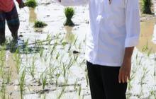 Reaksi Jokowi Soal Agus Rahardjo Dilaporkan ke Bareskrim Usai Bilang Intevensi Kasus e-KTP