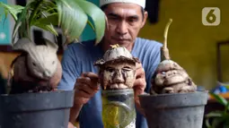 Seniman, Herman Ronda (49) menyelesaikan bibit pohon kelapa untuk dijadikan bonsai di Pondok Benda Pamulang, Tangerang Selatan, Selasa (13/10/2020). Budidaya bonsai tanaman kelapa semakin digemari untuk memanfaatkan waktu dengan harga dari Rp 250 ribu hingga Rp 500 ribu. (merdeka.com/Dwi Narwoko)