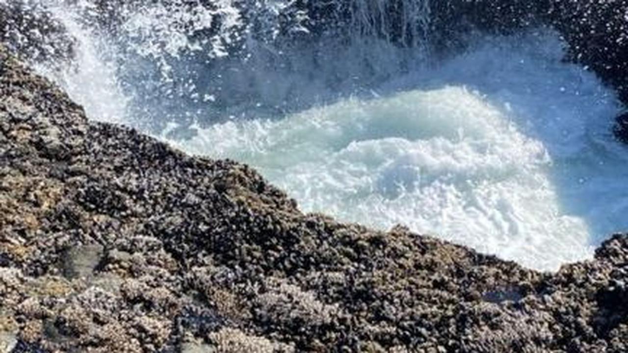 <b>Lokasi Keberadaan Sumur Thor</b><br>