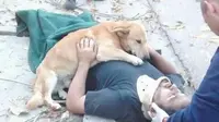 Anjing itu tidak beranjak hingga ambulans tiba membawa tuannya yang terluka.