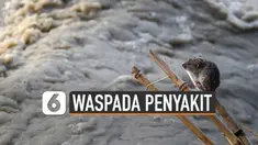 Sejumlah wilayah di Indonesia terendam banjir. Beberapa penyakit perlu diwaspadai.