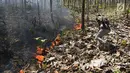 Petugas Dinas Kehutanan berusaha memadamkam api yang membakar hutan jati di Kecamatan Juwangi Boyolali, Jawa Tengah, Senin (6/8). Kebakaran mengancam matinya pohon jati yang masih berusia muda. (Liputan6.com/Gholib)