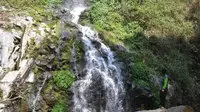 Menikmati 3 Air Terjun hingga Pengamatan Satwa di Coban Trisula