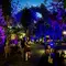 Hutan Kota Disulap Jadi Immersive Wellness Garden Pertama dan Terbesar di Jakarta
