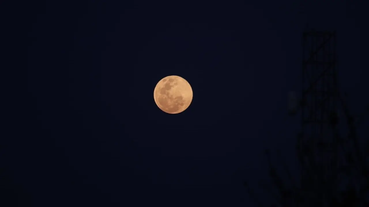 Ilustrasi Full Flower Supermoon