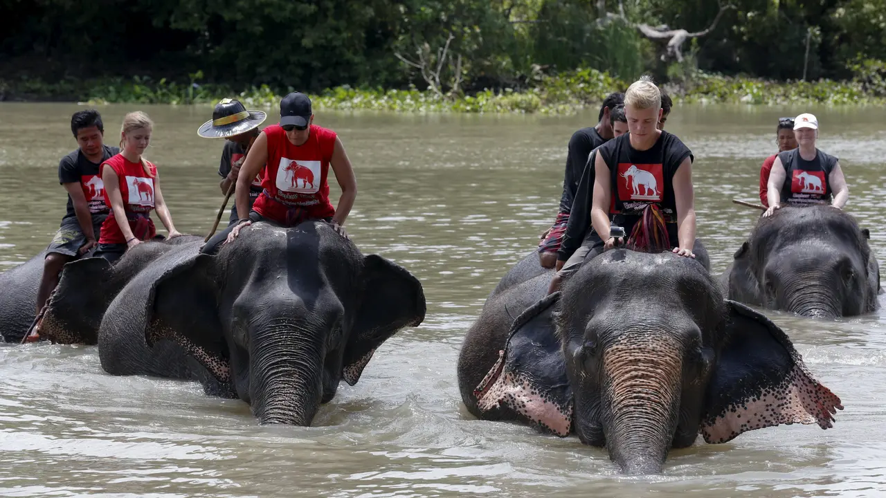 20150811-Hari-Gajah-Dunia-Thailand