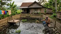 8 Jenis Ikan Air Tawar yang Mudah Dipasarkan di Lingkungan Desa, Peluang Usaha Menguntungkan