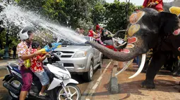 Seorang pengendara sepeda motor menyemprotkan air ke arah gajah saat perayaan festival air Songkran di Ayutthaya, Bangkok, Thailand, Jumat (10/4/2015). Festival air songkoran menandai dimulainya Tahun Baru tradisional Thailand. (REUTERS/Chaiwat Subprasom)
