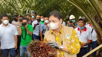 Kemenangan Indonesia di Sengketa WTO, Pakar: Buka Keran Ekspor Kelapa Sawit Jadi Lebih Besar