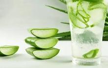 Resep Es Lidah Buaya, Minuman Segar yang Mampu Menurunkan Kolesterol