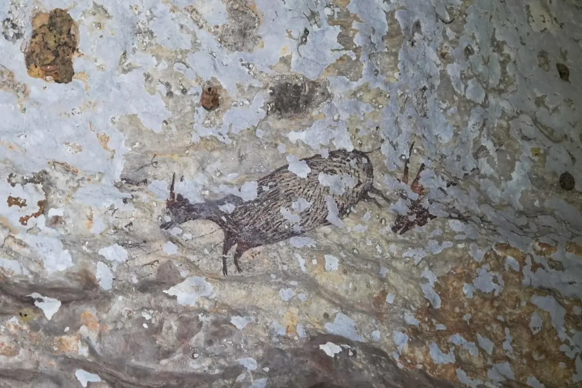 Leang (Gua) Bulu Sipong 4 di Bukit Bulu Sipong