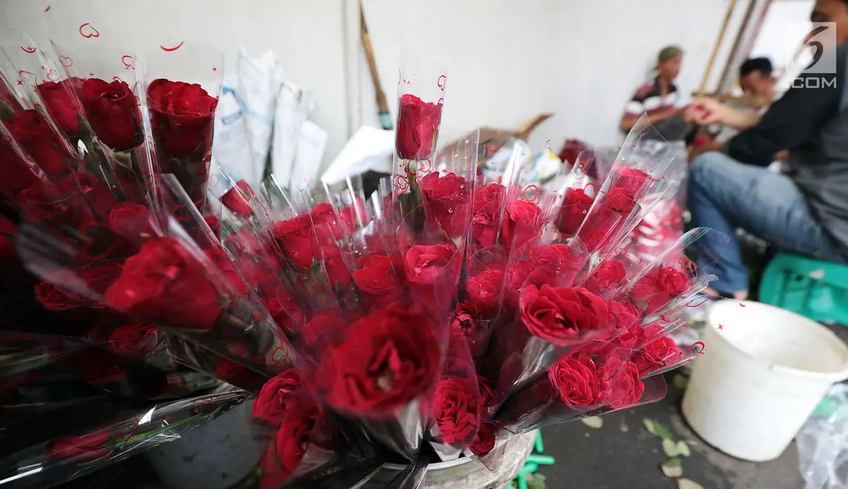 Pedagang menata bunga mawar di kawasan Rawa Belong, Jakarta Barat, Rabu (13/2). Rata-rata bunga mawar ini jual dengan kisara Rp5000 hingga Rp10.000 pertangkai bunga. (Liputan6.com/Johan Tallo)