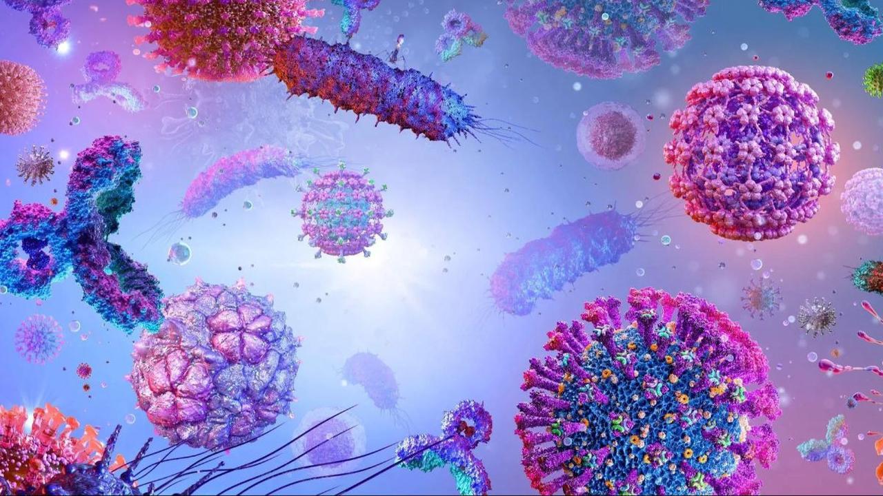 <b>Macam-macam Virus</b>