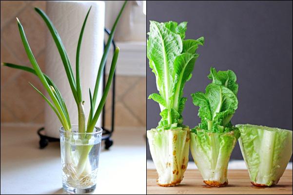 copyright by purewow.com