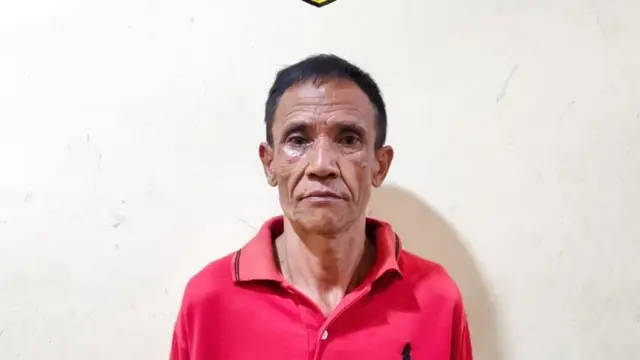 Wowon Erawan (Istimewa)