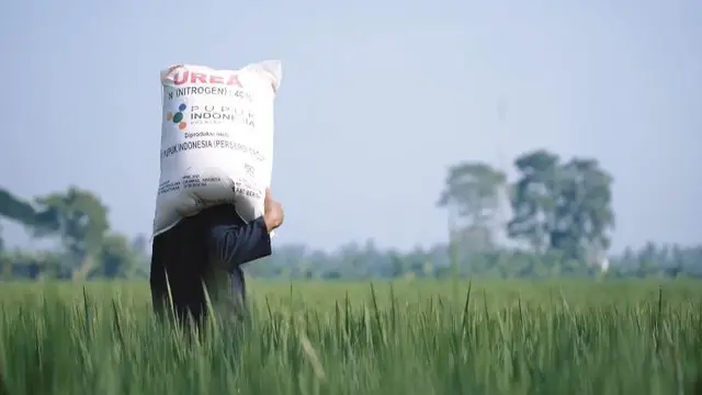 Terungkap, Ini Penyebab Pupuk Subsidi Baru Tersalur 5 Juta Ton
