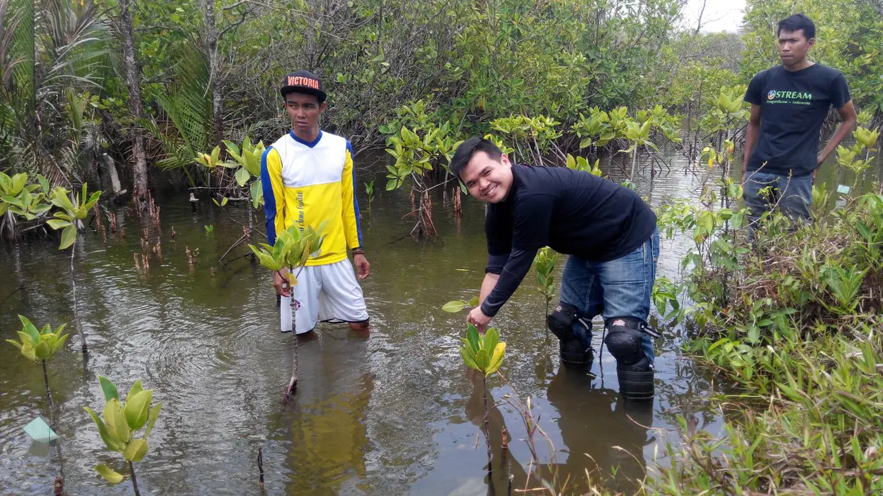 Peduli Lingkungan, Honda Tanam Mangrove di Pangandaran
