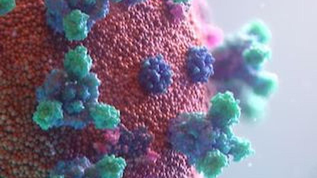 Jenis Virus yang dapat Menyerang Manusia, Picu Dampak Ringan hingga Berbahaya