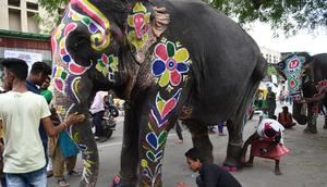 Seekor gajah dilukis menjelang festival Hindu tahunan Rath Yatra di Ahmedabad, India (3/7/2019). Festival Rath Yatra dijadwalkan akan dimulai pada 4 Juli tahun ini dan akan dimeriahkan oleh sekitar 15 gajah. (AFP Photo/Sam Panthaky)