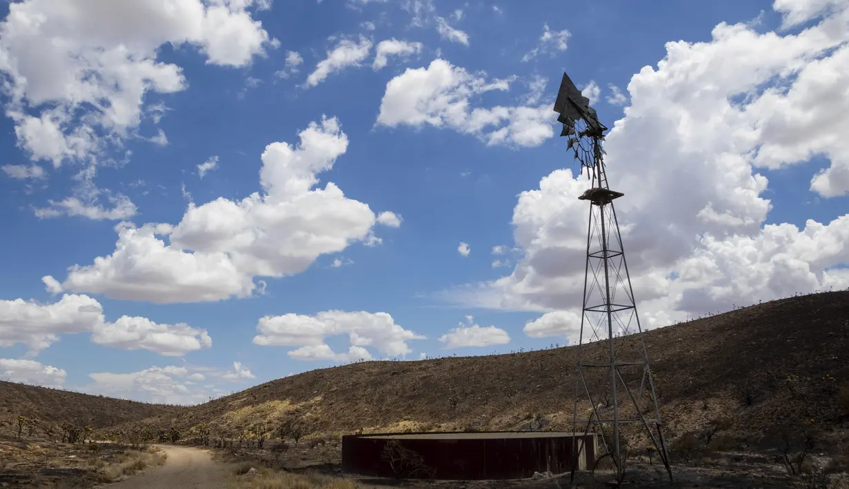Kebakaran York sebagian dapat diatasi pada Selasa pagi setelah kobaran api berkobar pada Jumat di cagar alam liar California dan menyebar ke Nevada. (AP Photo/Ty O'Neil)