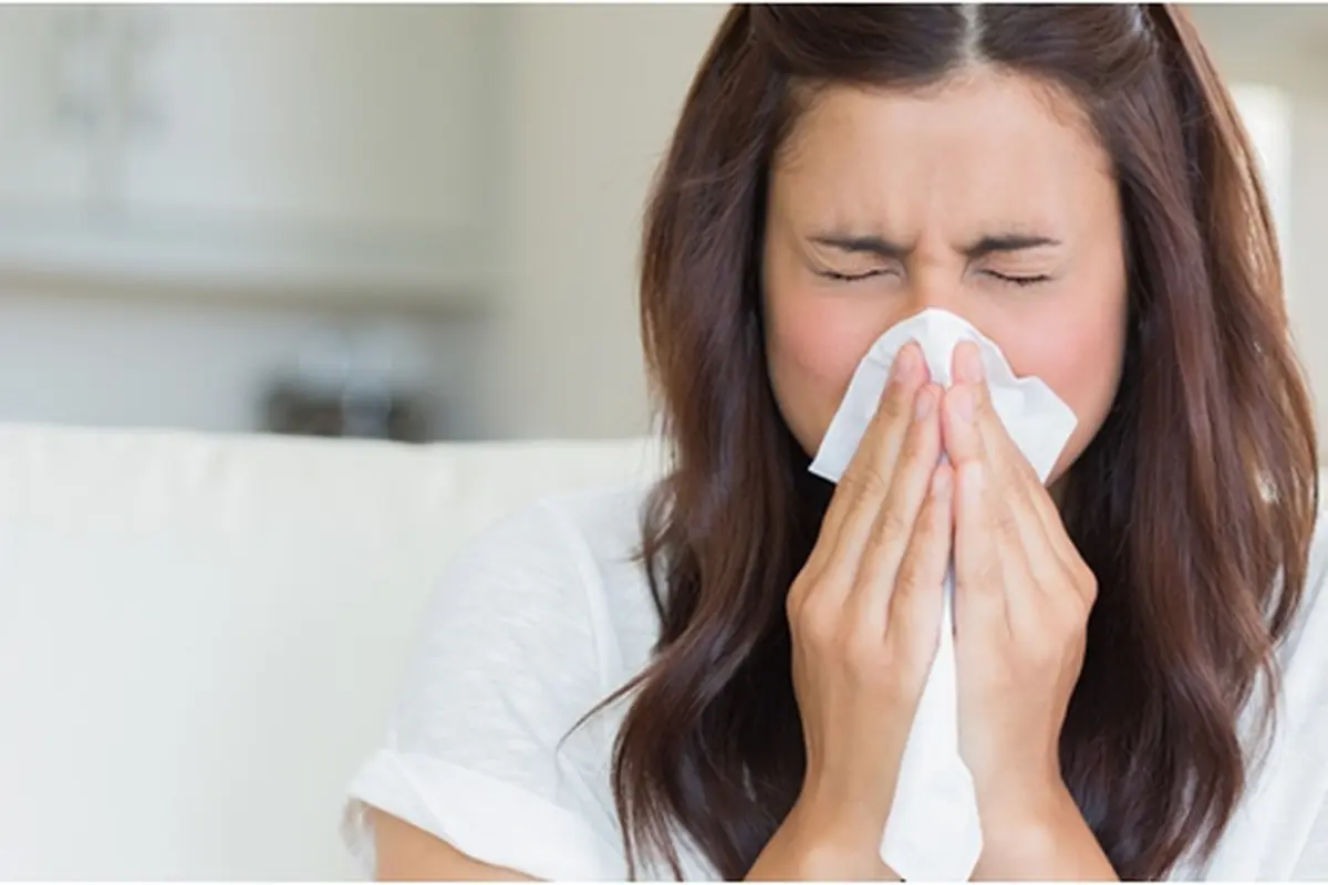 Courtesy ShutterStock.com