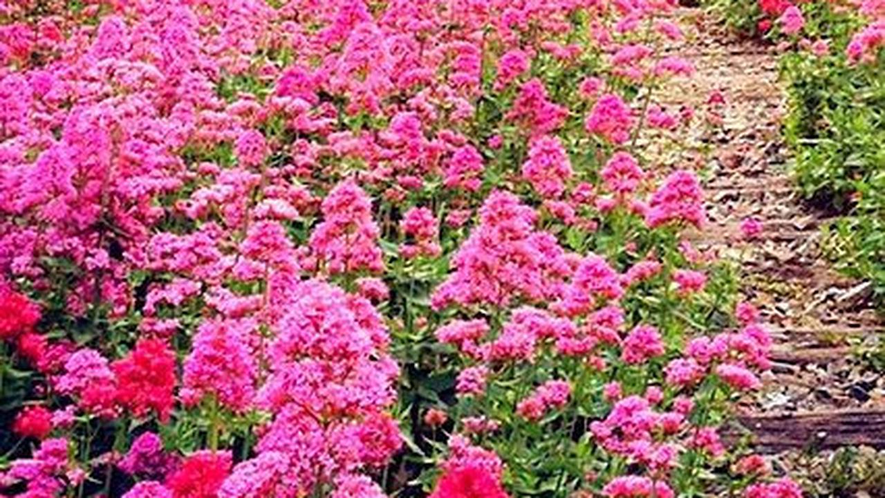 Quotes About Nature <br>