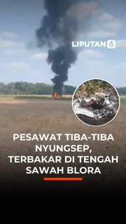 Pesawat Tiba-Tiba Nyungsep,Terbakar di Tengah Sawah Blora