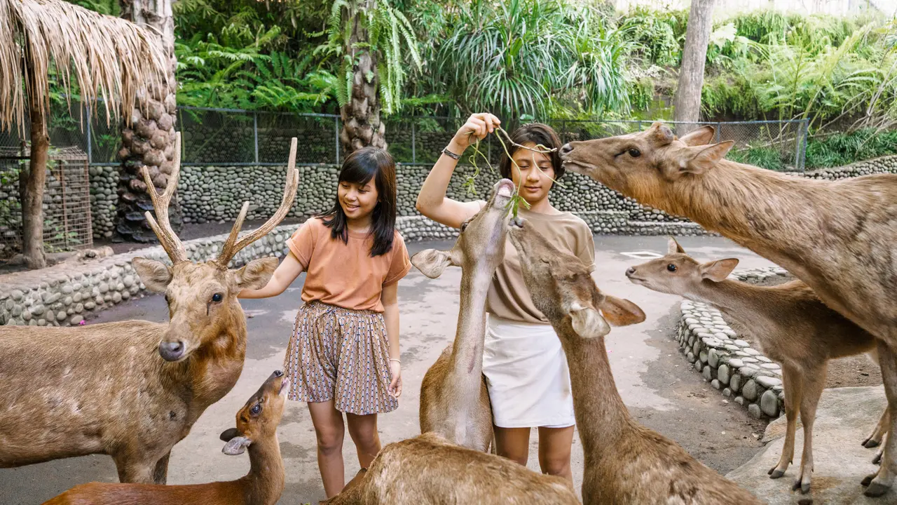 Wisata Bali