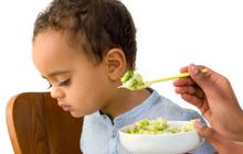 5 Menu Sayur Enak yang Bikin Anak Tertarik Makan Sayur, Dijamin Doyan dan Nambah Porsi Makan