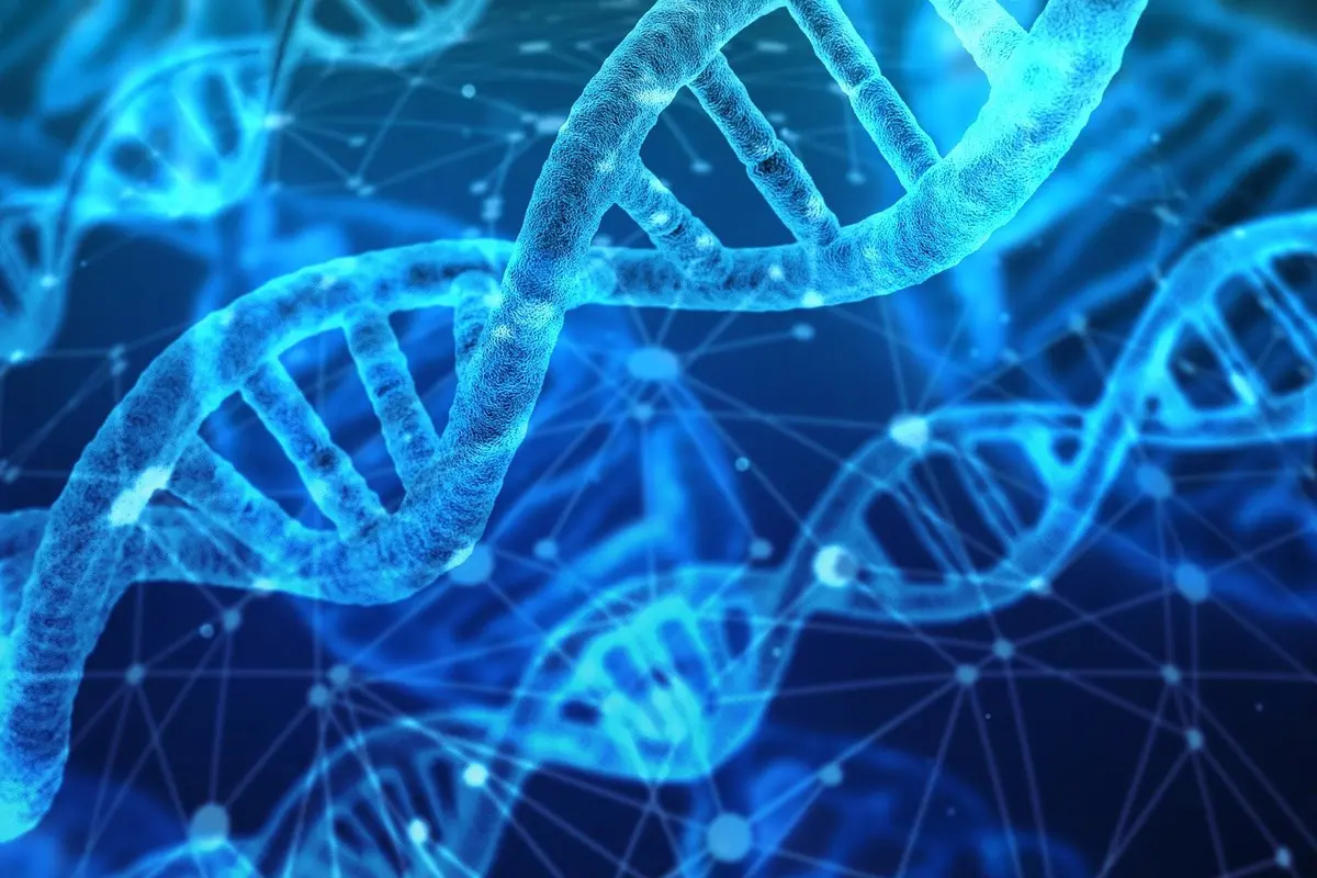 Ilustrasi DNA dan RNA