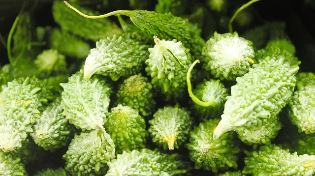 9 Cara Menanam Pare dalam Pot agar Buahnya Tidak Pahit Berlebihan