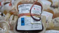 Kantong darah di Unit Transfusi Darah (UTD) PMI Provinsi DKI Jakarta, Kamis (28/1). (Liputan6.com/Gempur M Surya)