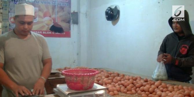 VIDEO: Harga Telur Naik Terus, Ini Penyebabnya