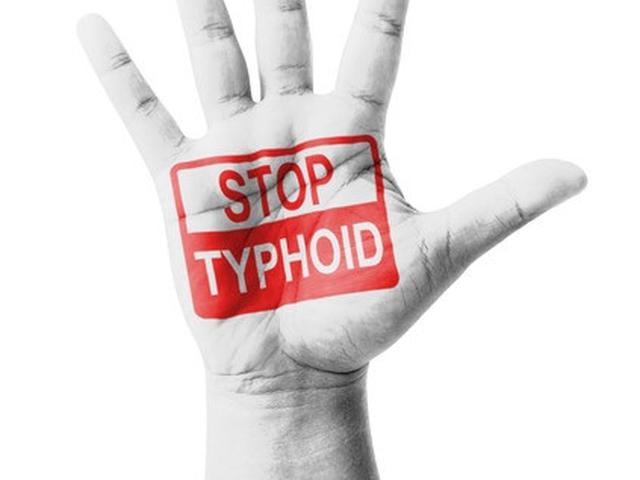 Ciri Ciri Gejala Tipes Dan Bedanya Dengan Tifoid Tipes Serta Tifus Health Liputan6 Com