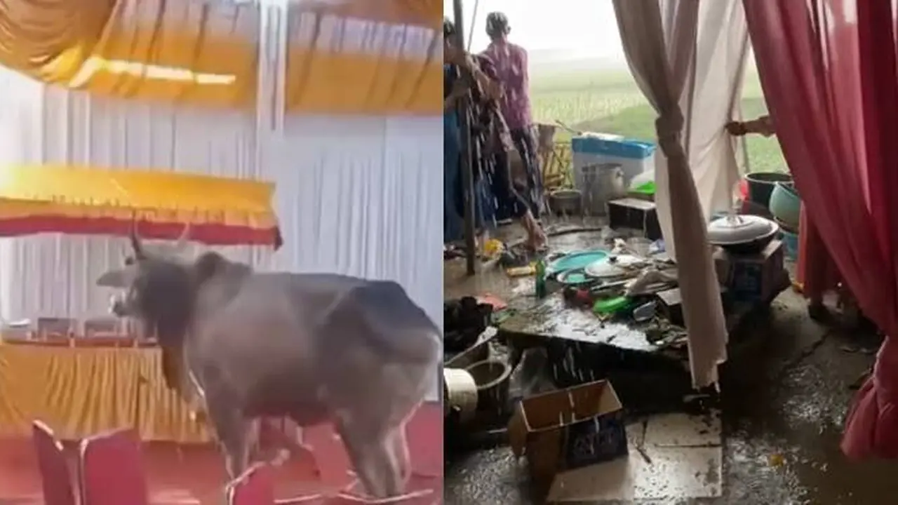 6 Momen Apes saat Resepsi Pernikahan Ini Bikin Nyesek