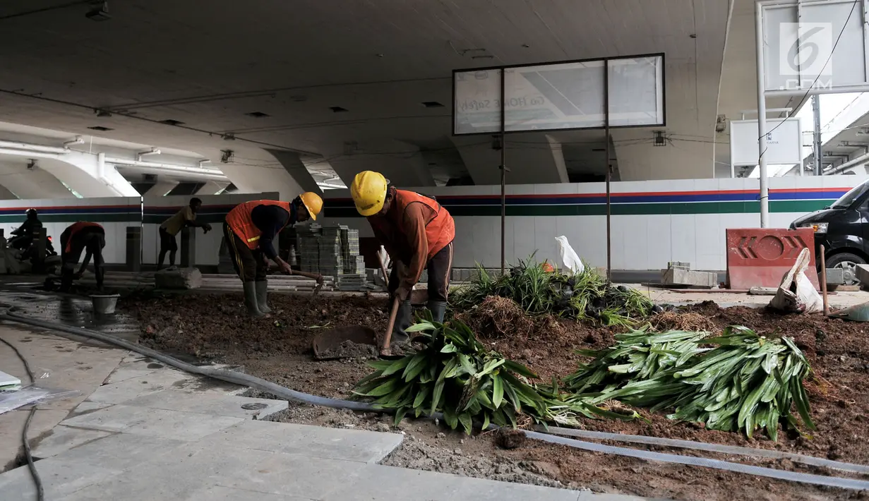 Pekerja menyelesaikan pembangunan taman di kolong Jembatan Semanggi, Jakarta, Kamis (7/3). Nnatinya, taman kolong Jembatan Semanggi akan difungsikan saat car free day yang diisi dengan kegiatan pengembangan seni budaya. (merdeka.com/Iqbal Nugroho)
