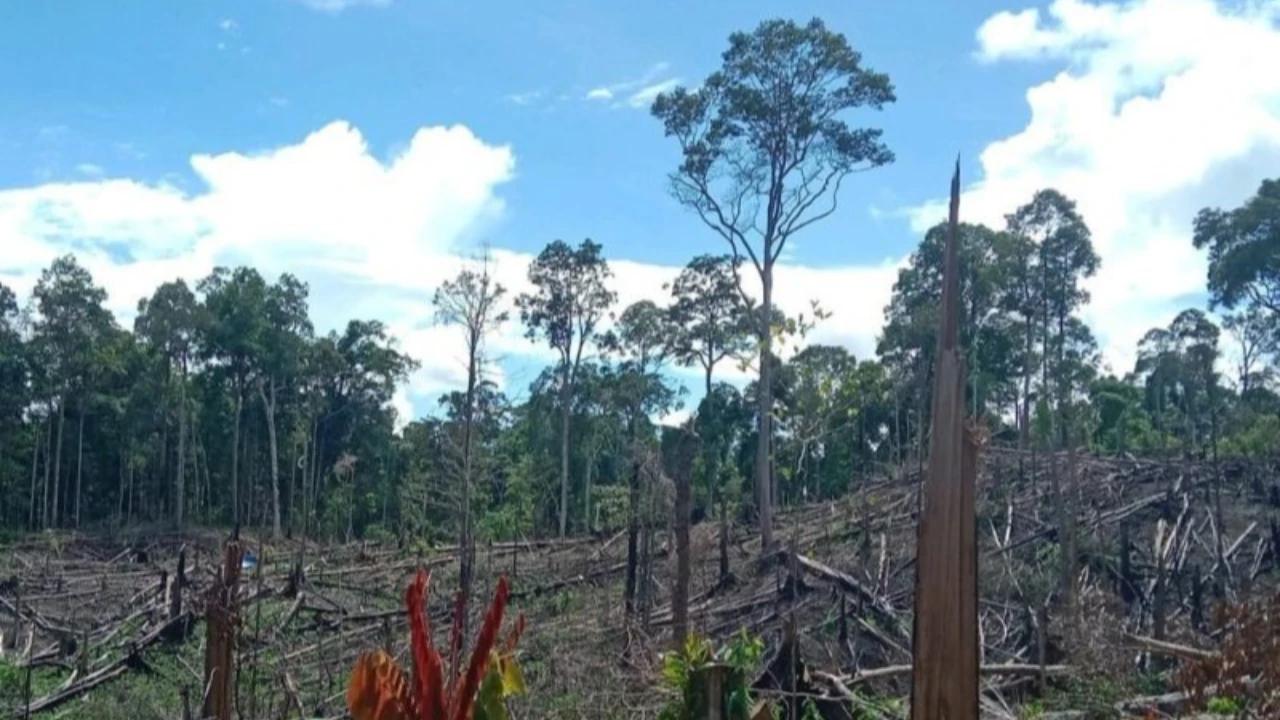 Prabowo Cabut Izin 28 Perusahaan Hutan-Tambang di Aceh-Sumatra