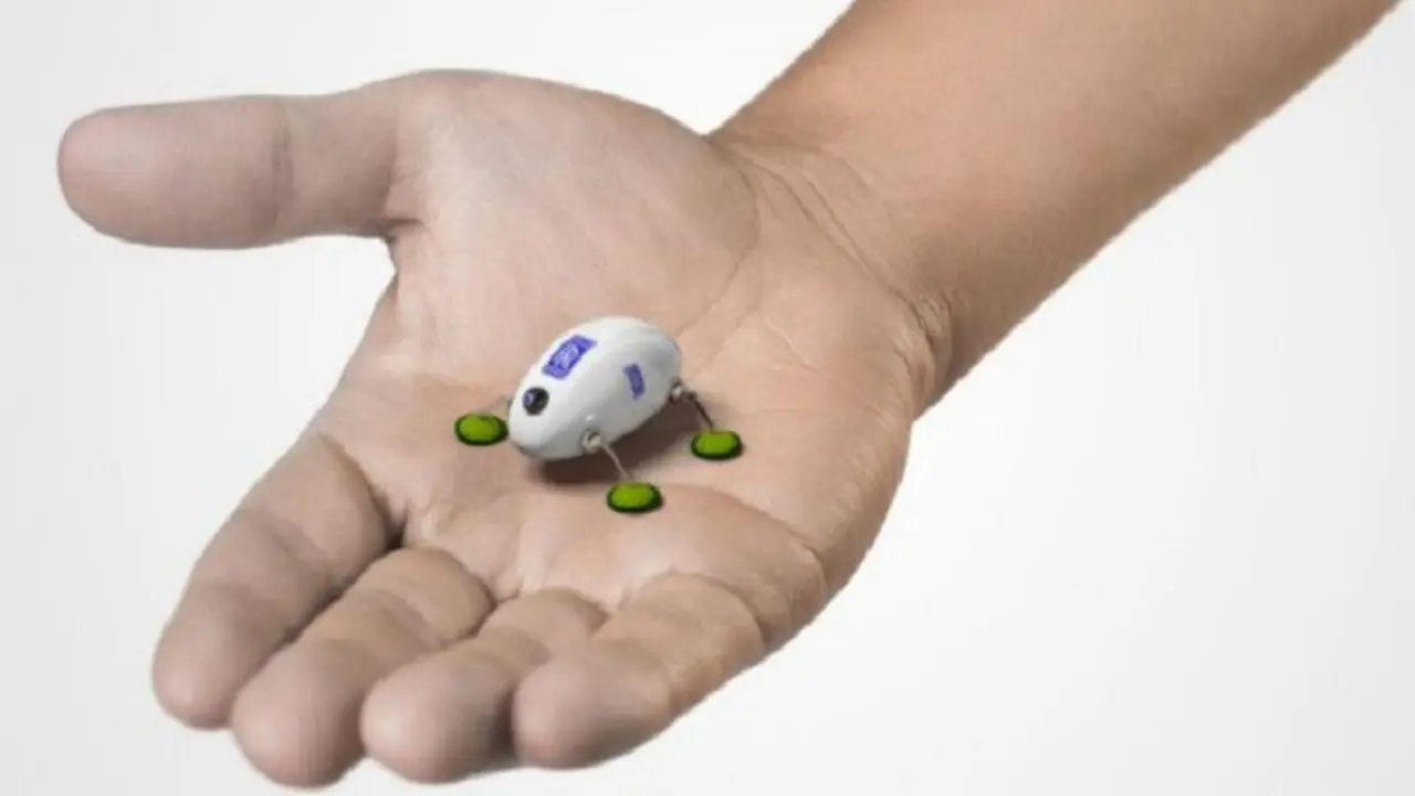 Robot